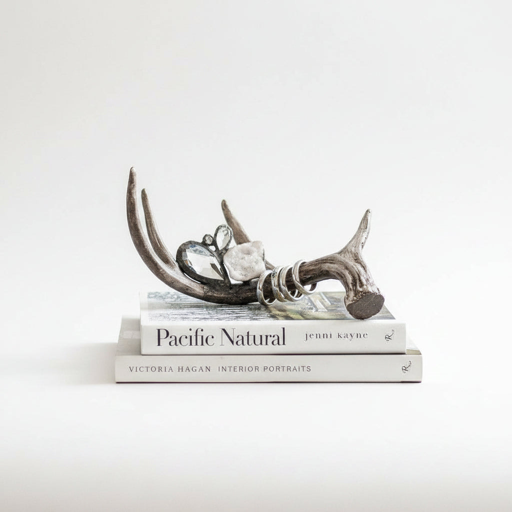 Antlers on top of books with a blurred background