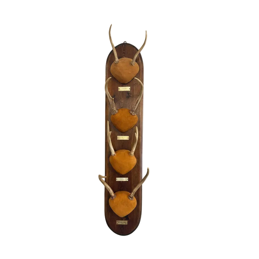Wooden wall mount with four heart-shaped cutouts and antlers on a white background