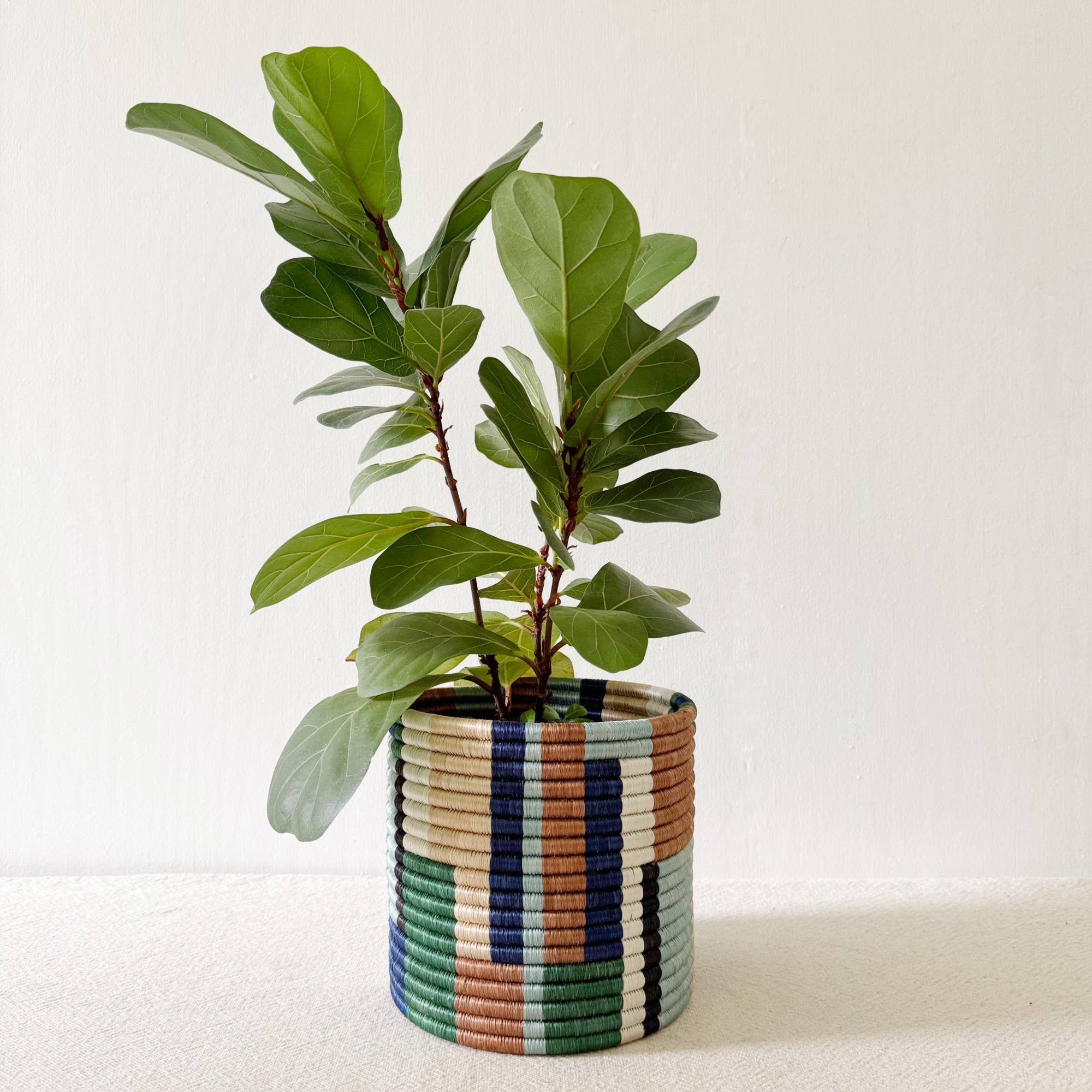 Storage Plant Basket: Shonga (Set of 3)