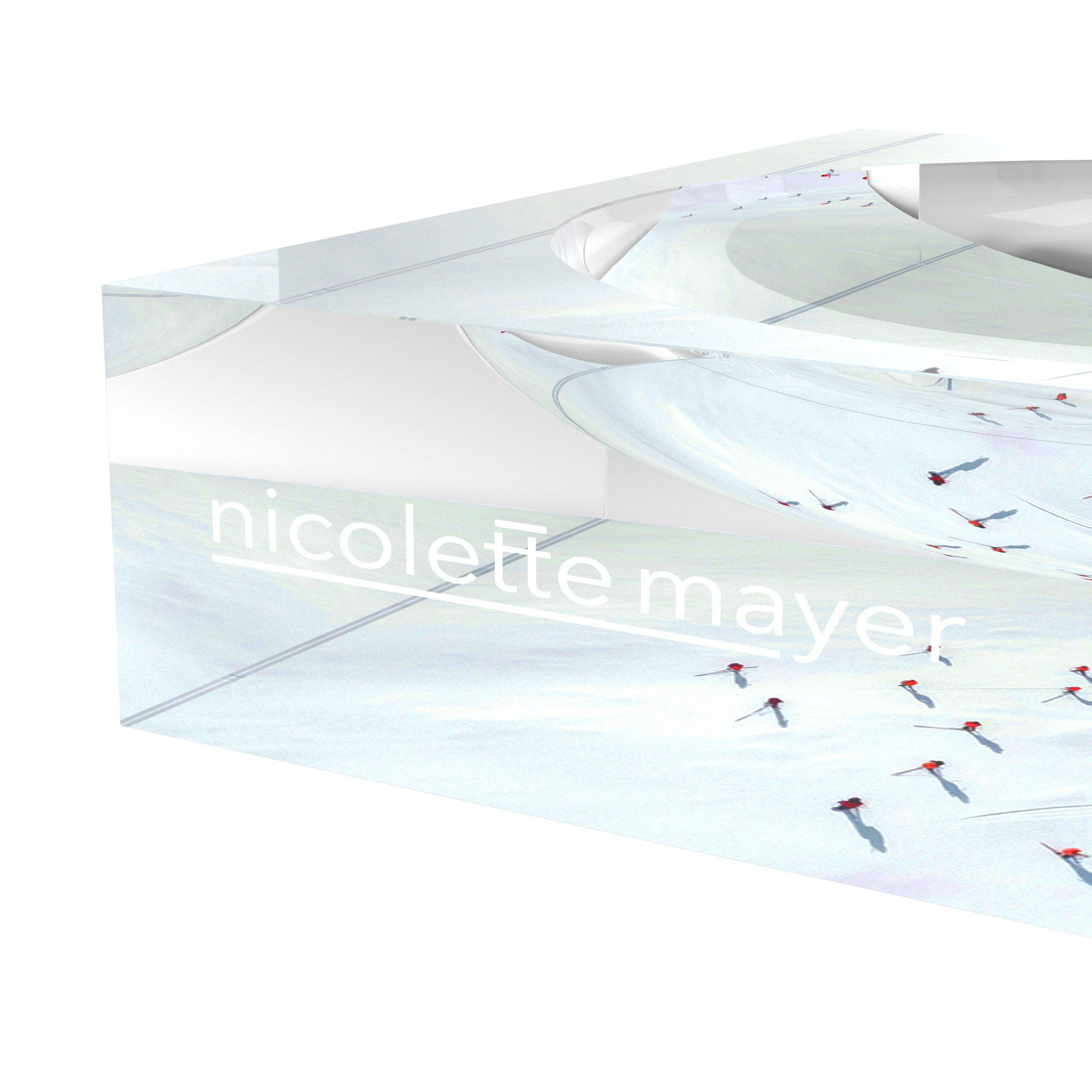 Aerial Group Acrylic Candy Catchall Dish