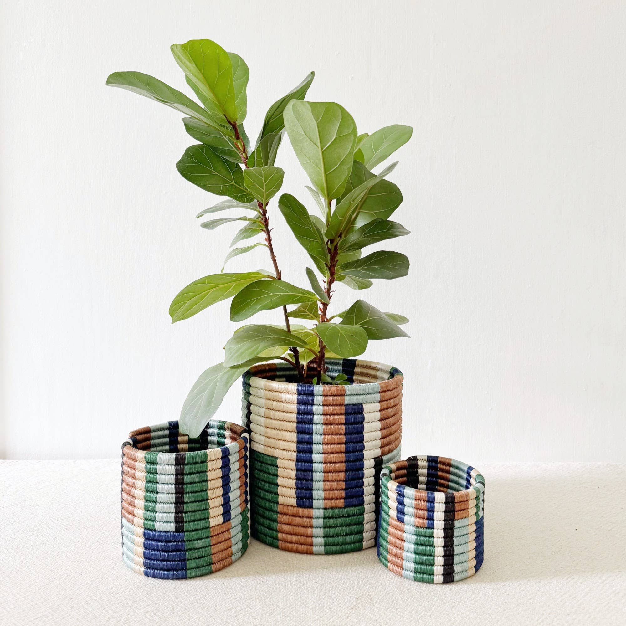 Storage Plant Basket: Shonga (Set of 3)