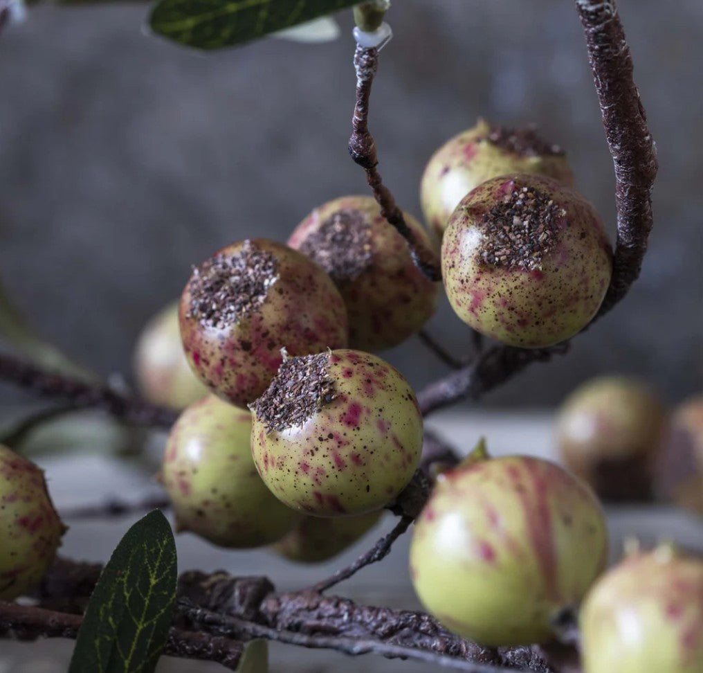 Dappled Artificial Rosehip