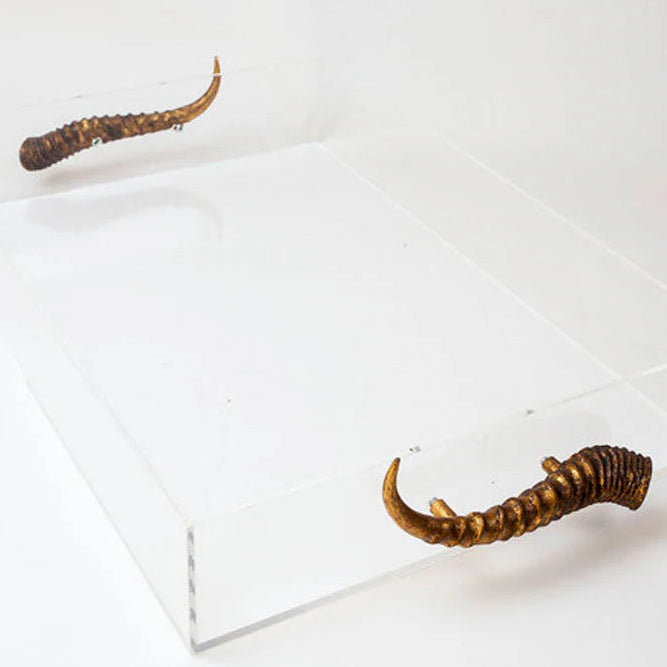 Acrylic Tray w/ Horn Handles, Silver