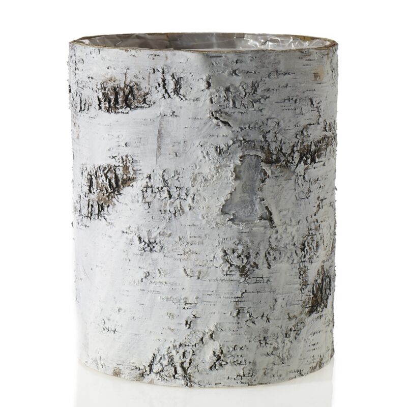 White Birch Container