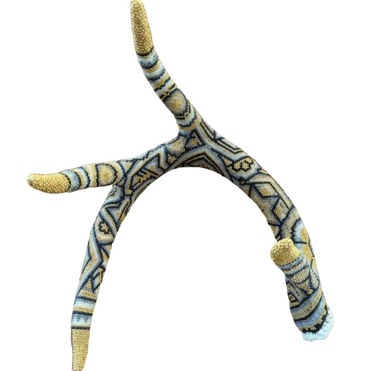 Huichol Antler