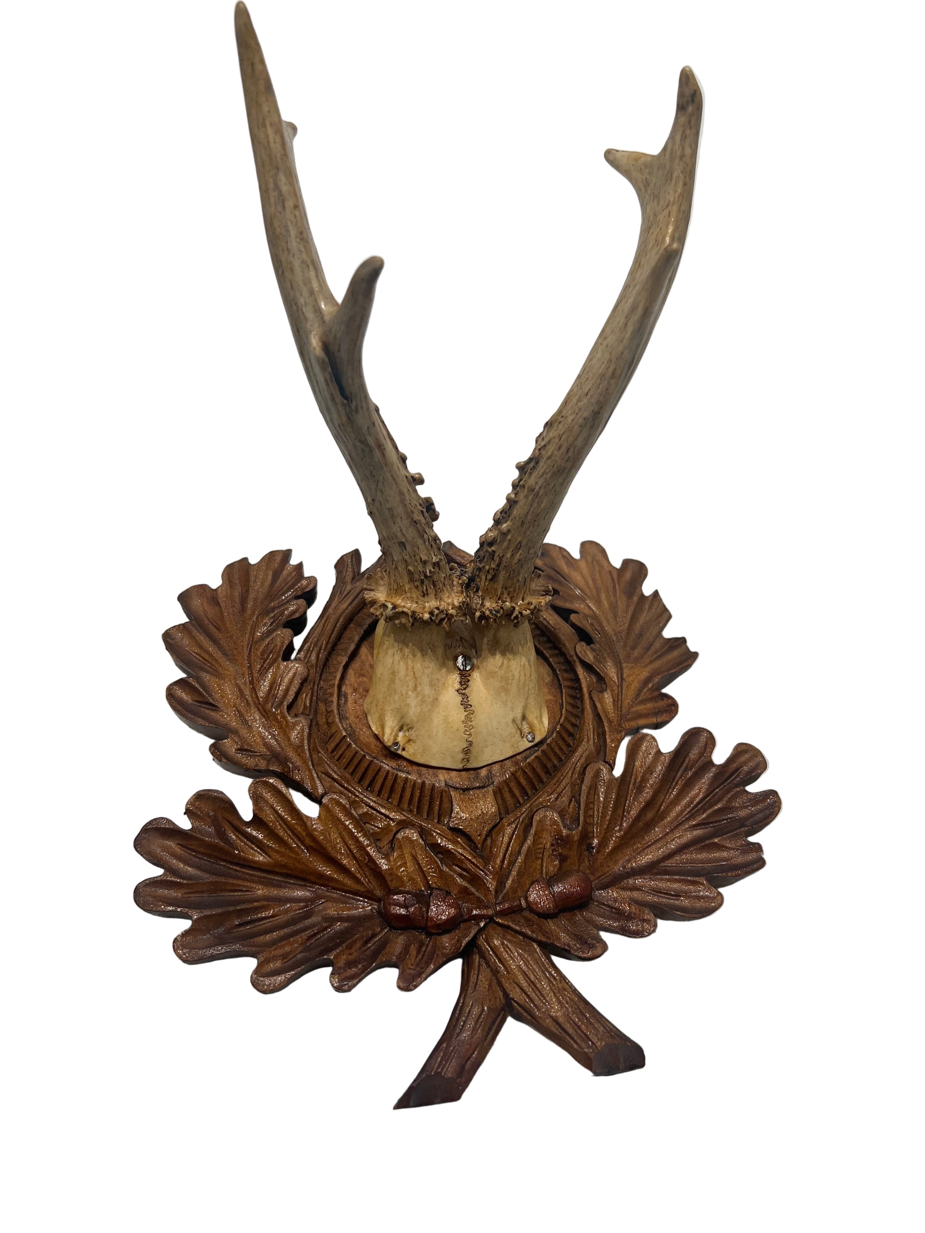 Vintage German Carved Deer Antler Mount on Oak