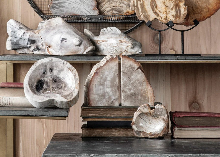 Petrified Wood Dish