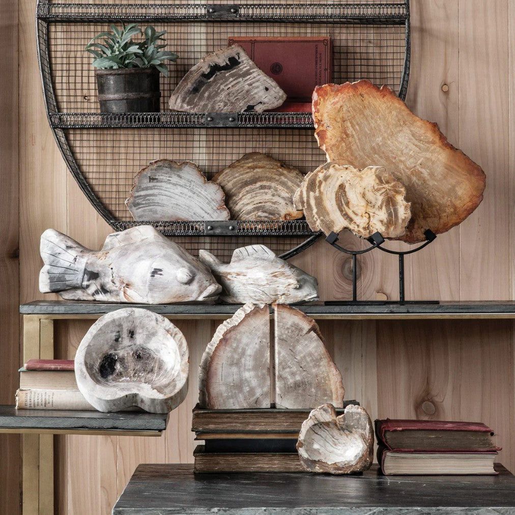 Decorative shelves with wooden slabs, books, and a plant against a wooden wall.