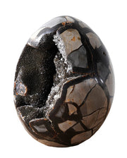 Septarian Dragon Egg