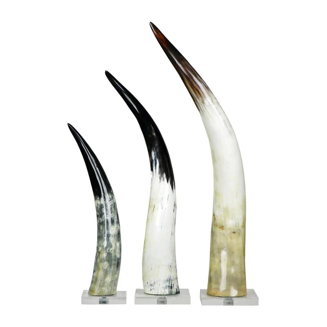 Black and White Cow Horn on Base