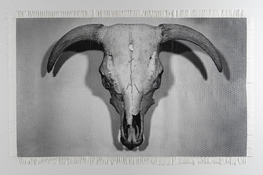 Cabeza de Vaca