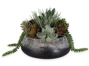 Gobi Succulent Centerpiece