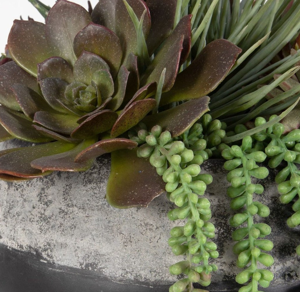 Gobi Succulent Centerpiece