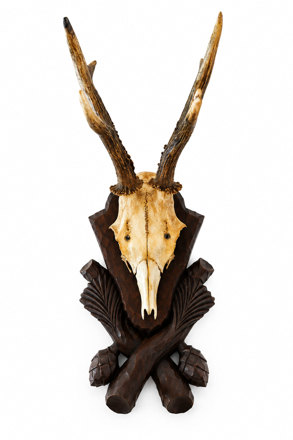 Vintage German Roe Deer Trophy Mount
