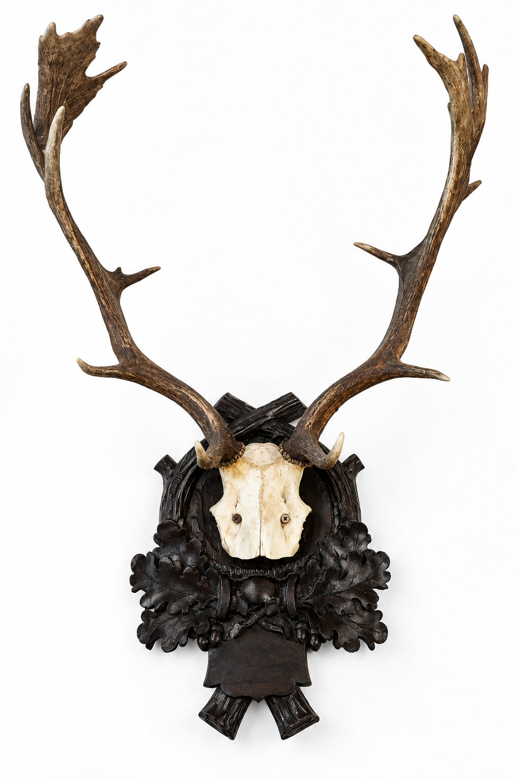 Large Antique Fallow Deer Trophy Mounts