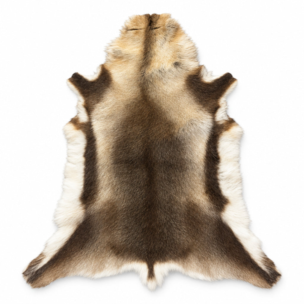 Reindeer Hide - Finland