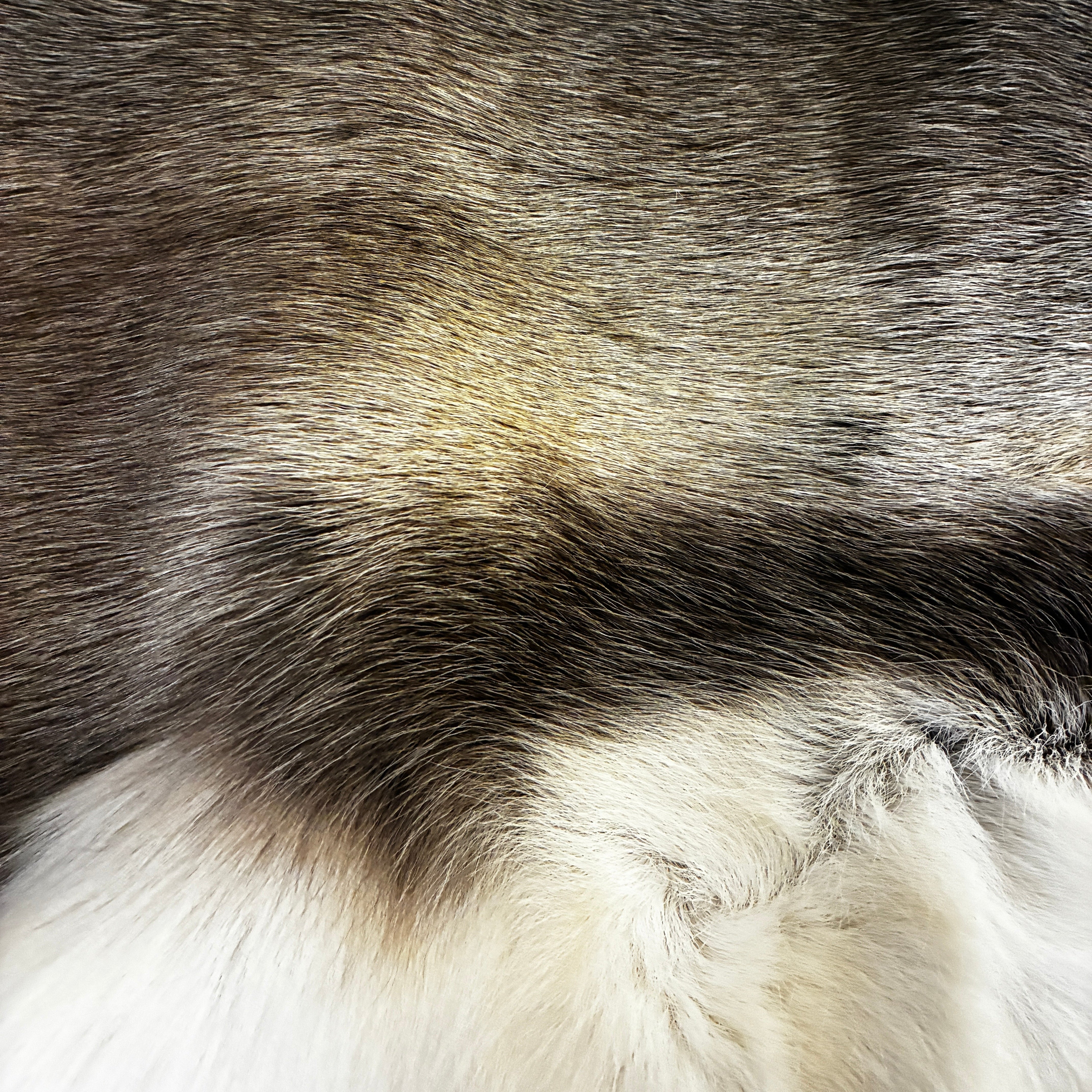 Reindeer Hide - Finland