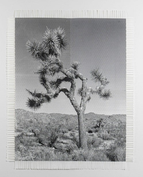 Karma Tree Number Four