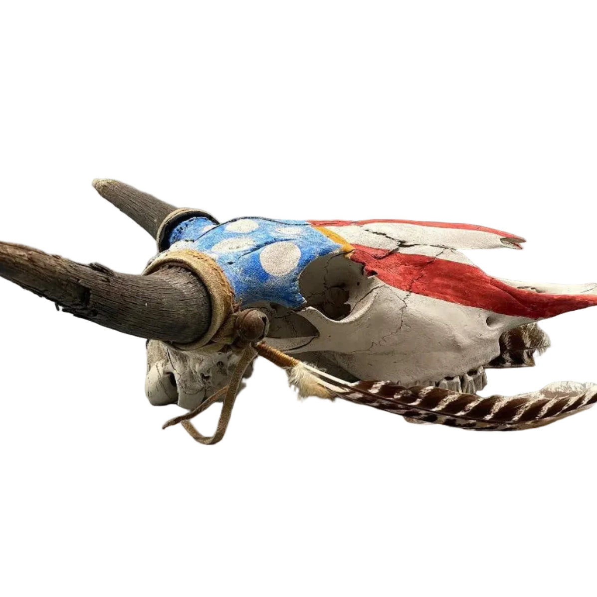 A decorative animal skull with long horns, painted blue, white, and red, and adorned with feathers, shown against a neutral gray background.