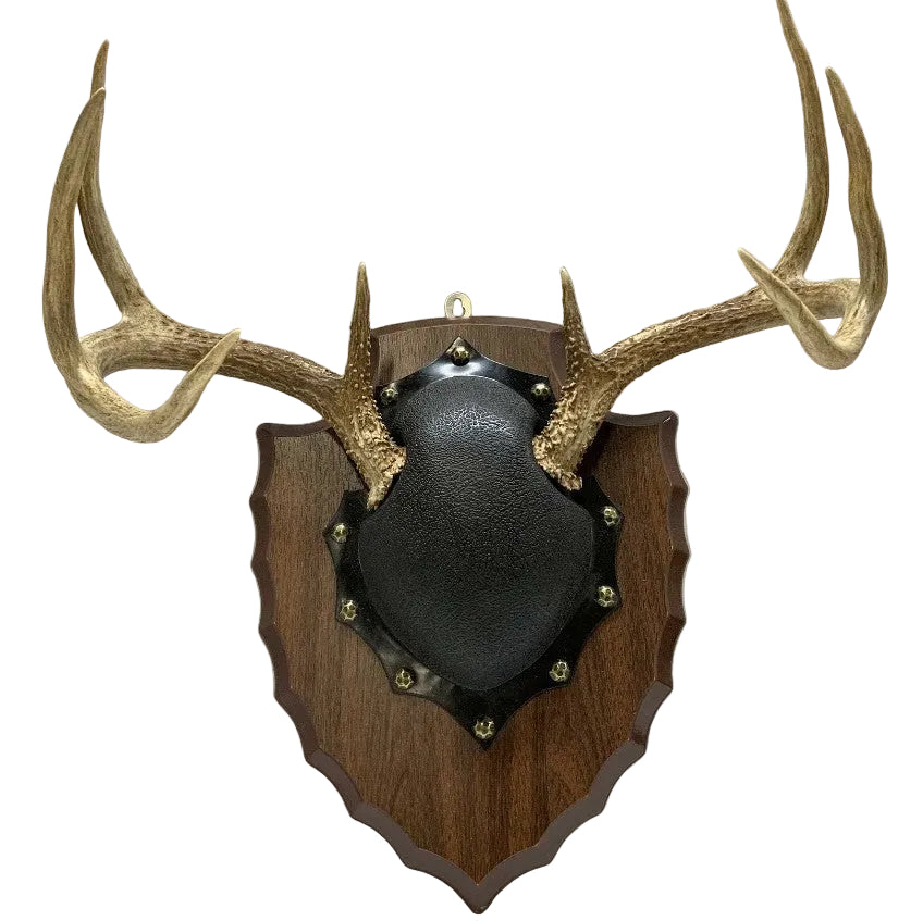 Vintage Deer Antler Arrowhead Wall Mount