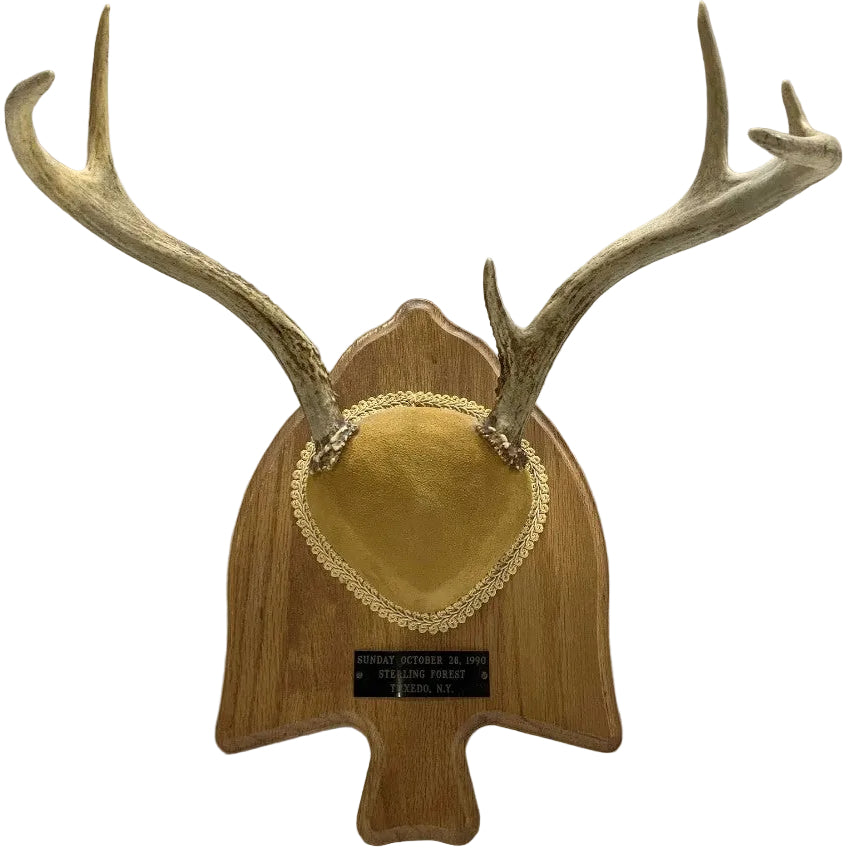 Vintage Deer Antler Plaque Mount