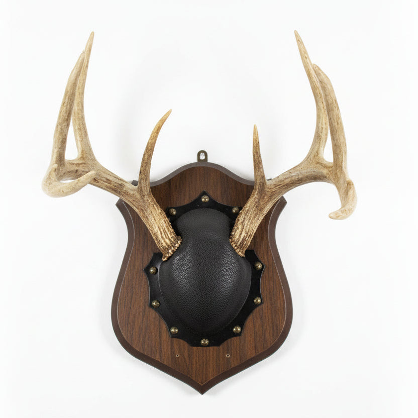Vintage Deer Antler Plaque Wall Mount
