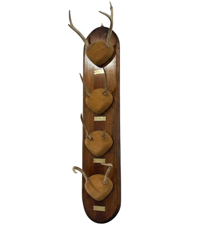 Vintage Deer Antler Wood Mount