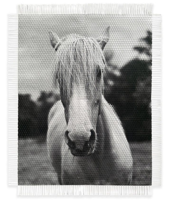 Blondie Woven Photograph