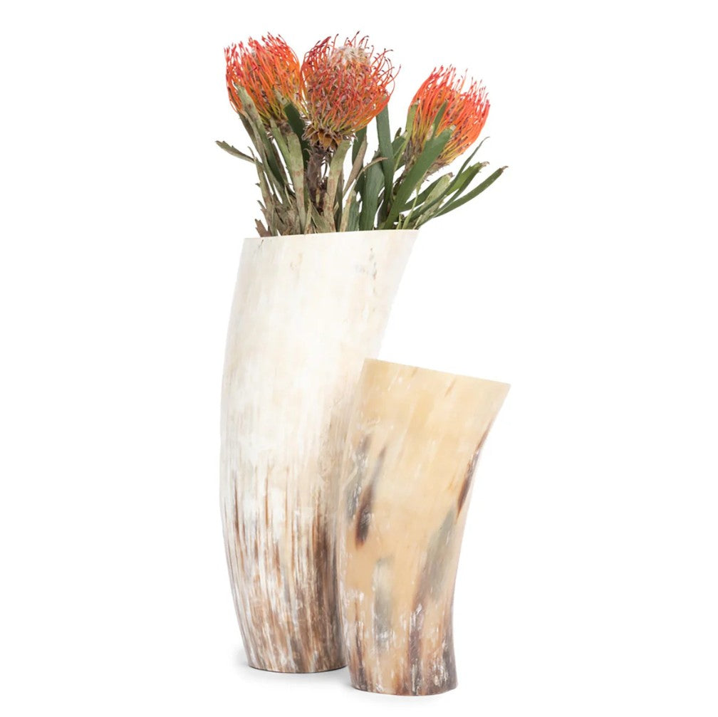 Cow Horn Vase