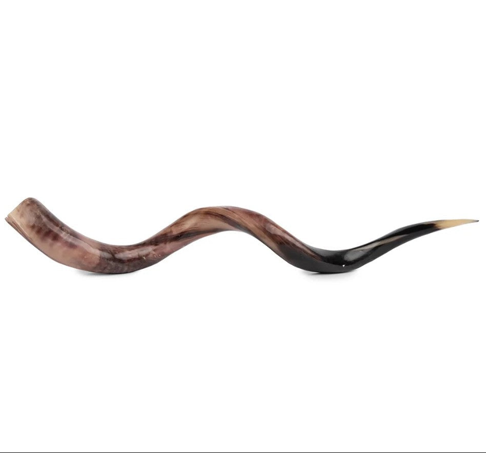 Wooden shofar on a white background