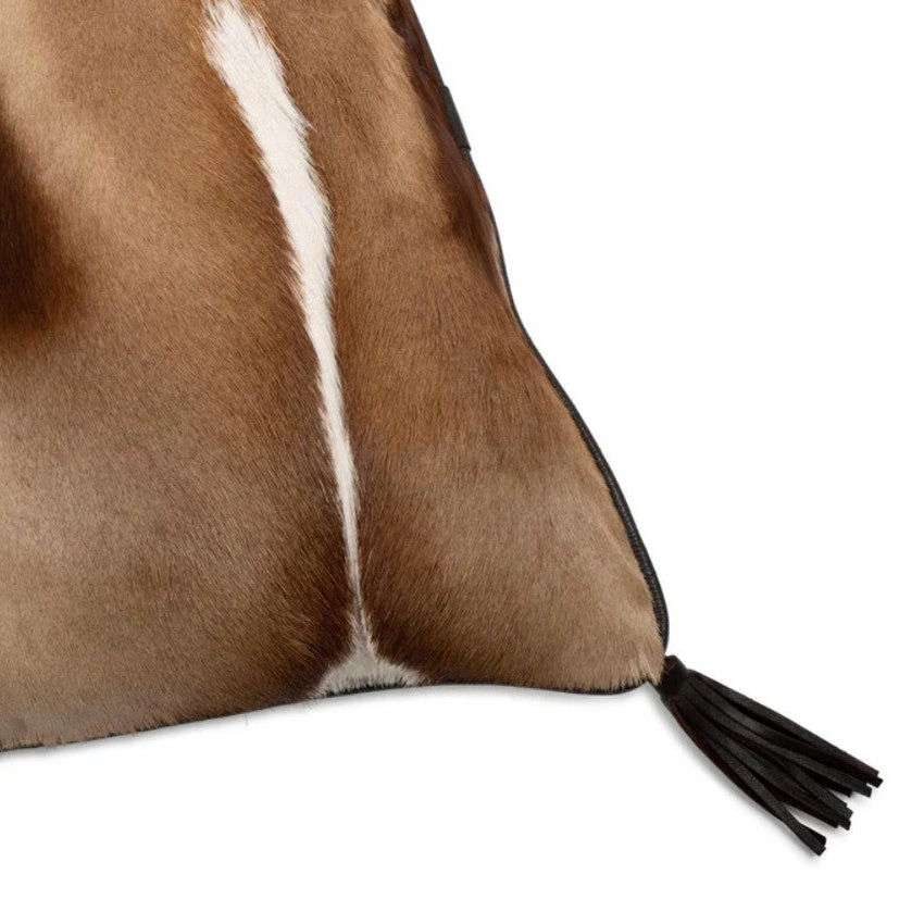 Close-up of a brown and white pillow with a black tassel on a white background