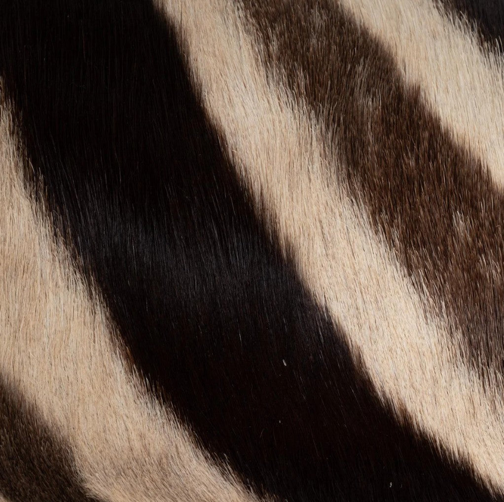 Close-up of zebra skin with black and white stripes