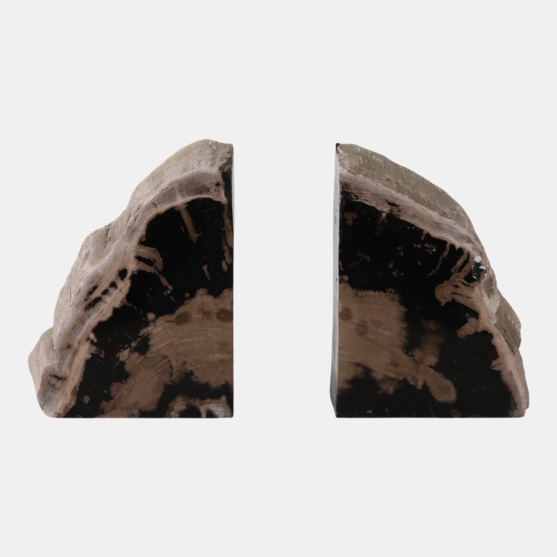 Petrified Wood Bookends