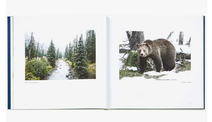 Yellowstone A Land of Wild and Wonder Leather Bound Book