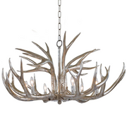 Antler Chandelier