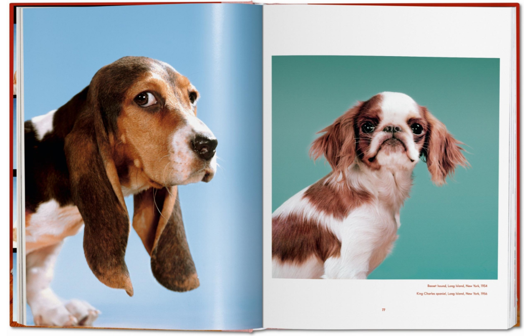 Walter Chandoha. Dogs. Photographs book