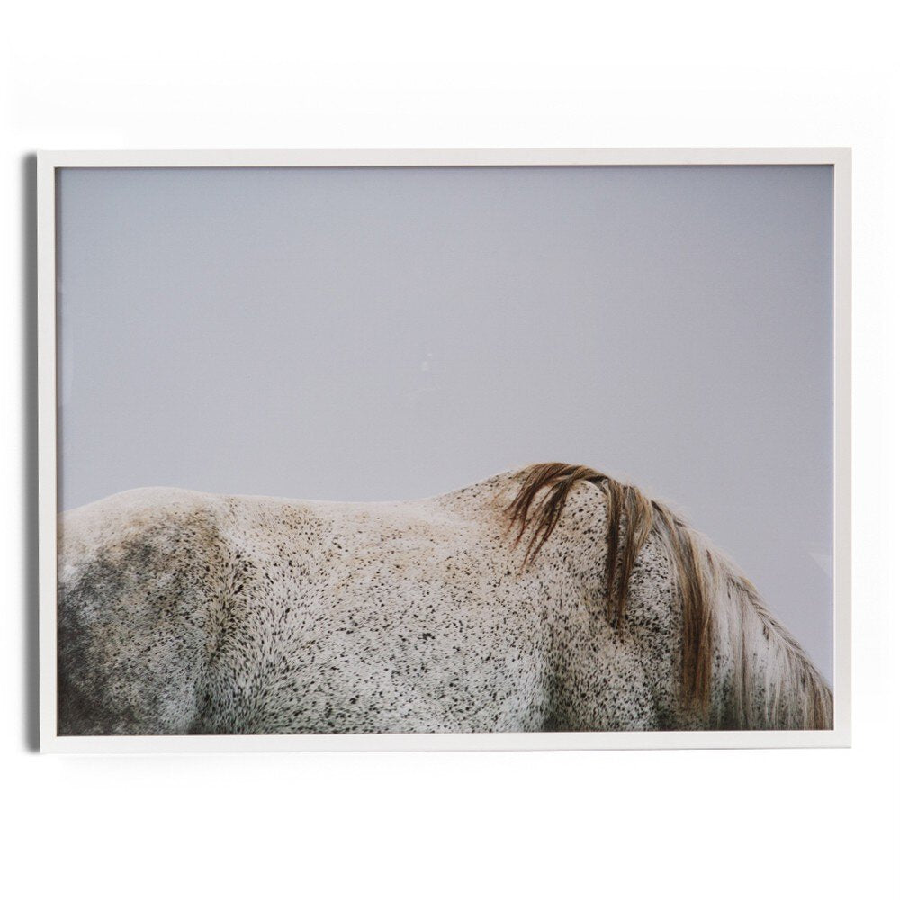 A framed art print depicting the back of a dappled horse with a serene expression, set against a light gray background.