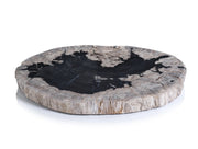 Petrified Wood Cheese Board - Organic Shape