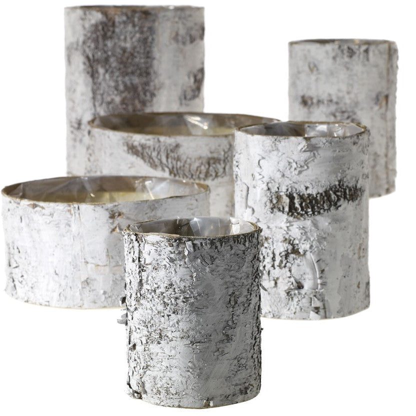 Set of silver birch bark candle holders on a white background