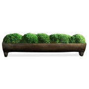 Canal Moss Centerpiece
