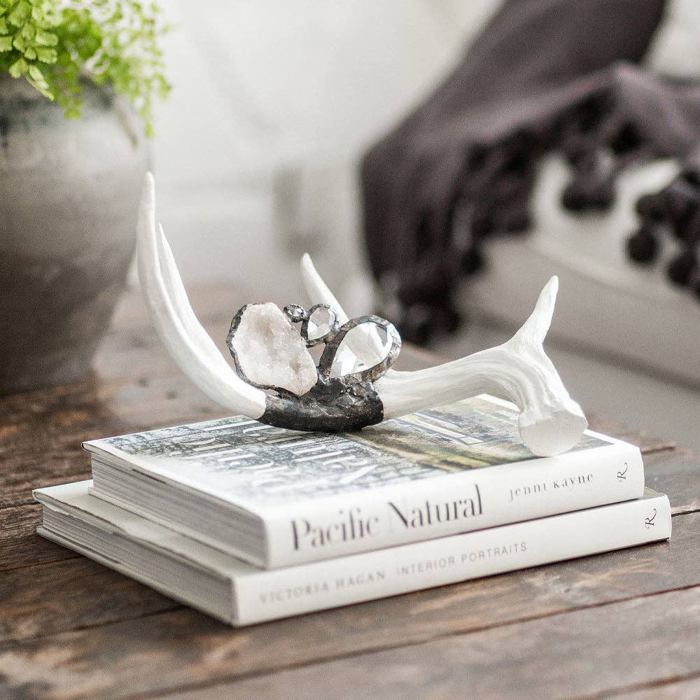 Embellished Antler (Medium)