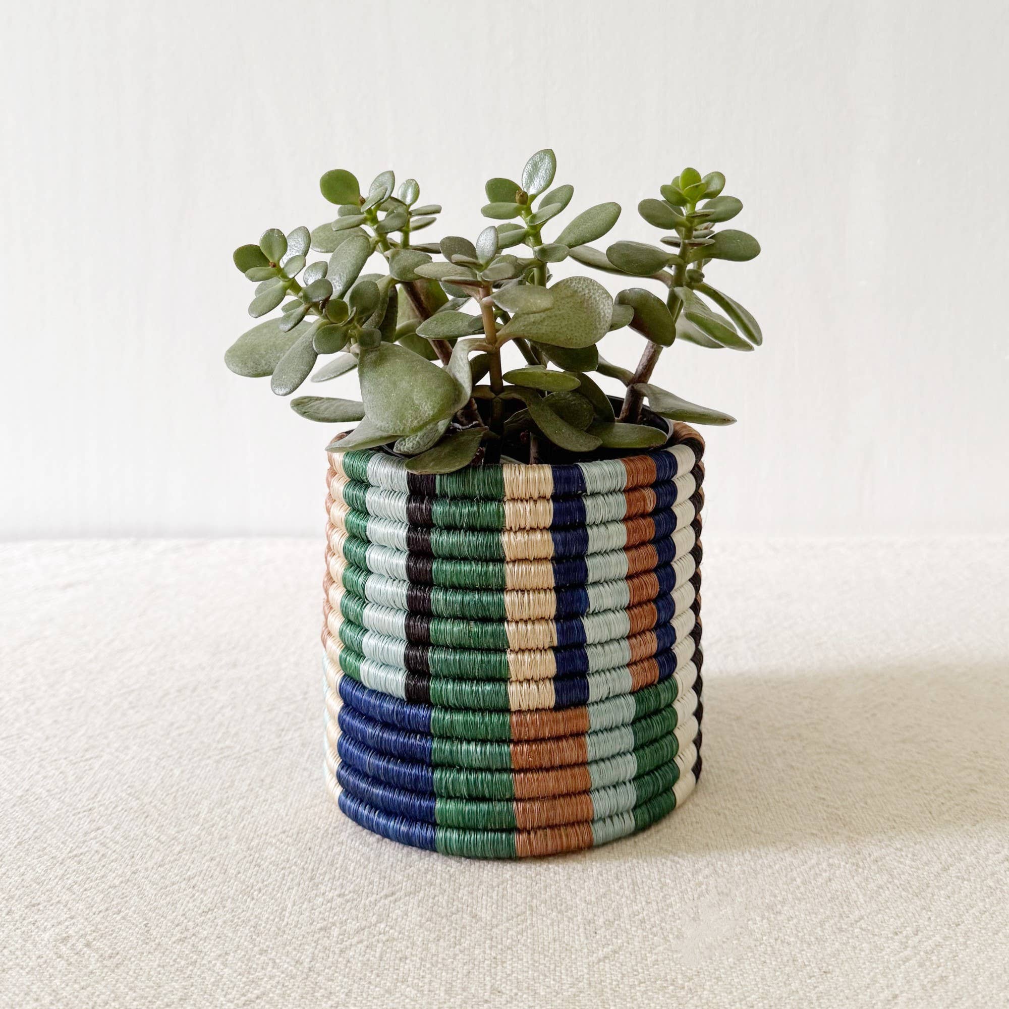 Storage Plant Basket: Shonga (Set of 3)