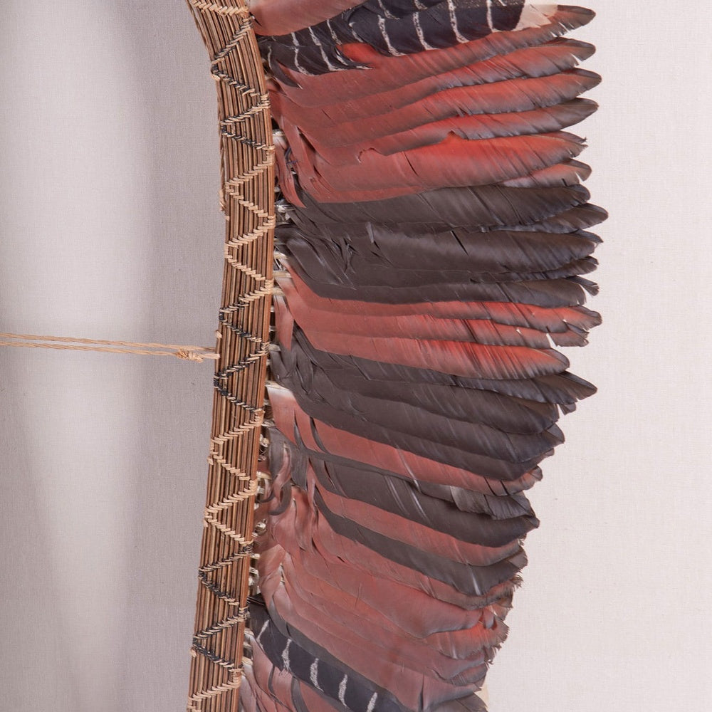 Native American Ceremonial Feather Headdress in Shadowbox