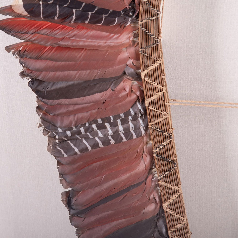 Native American Ceremonial Feather Headdress in Shadowbox
