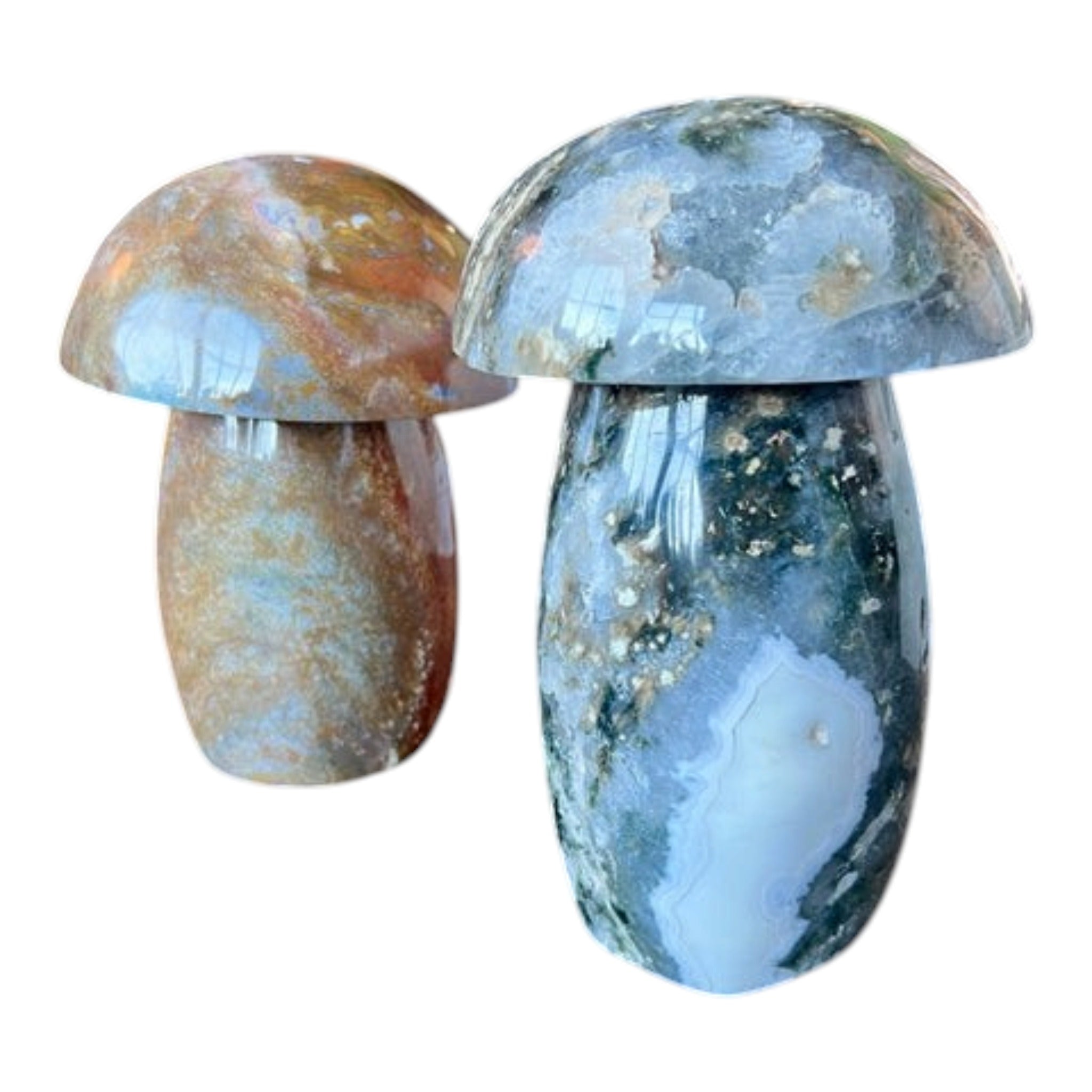 Ocean Jasper Mushrooms