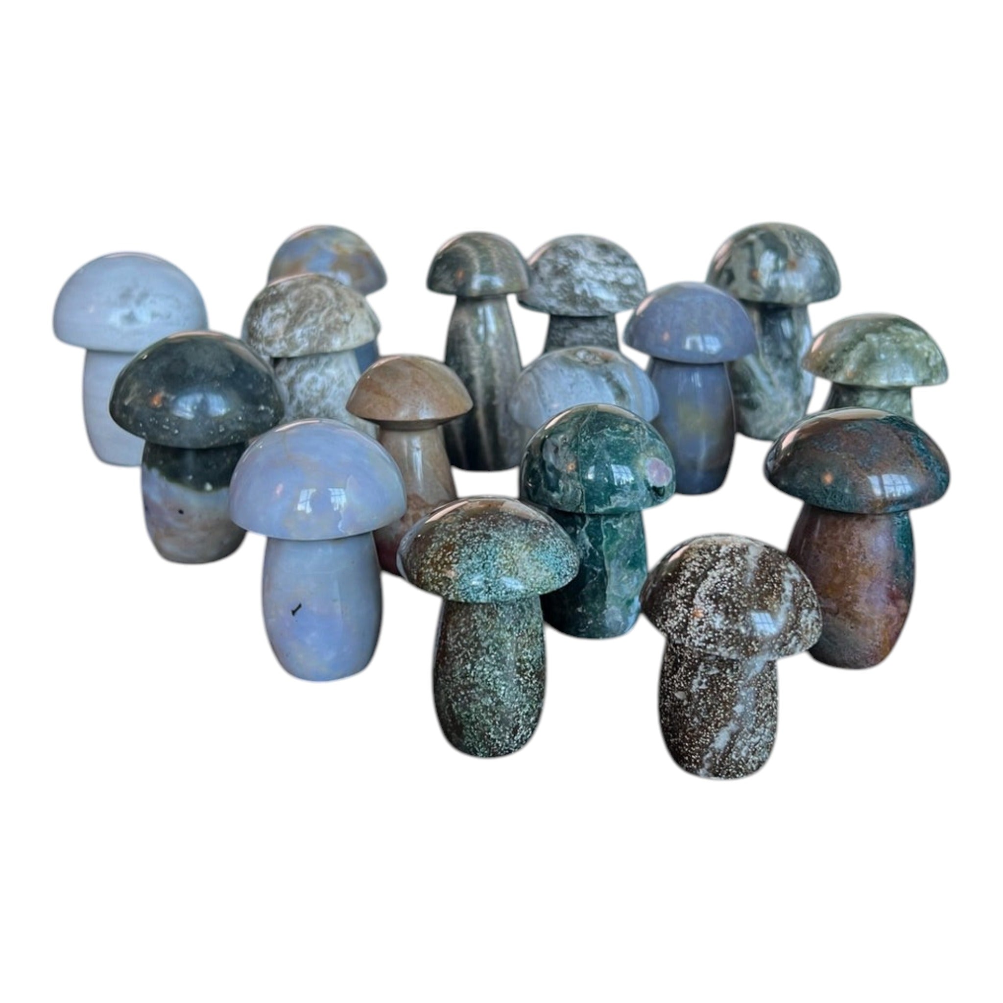 Ocean Jasper Mushrooms