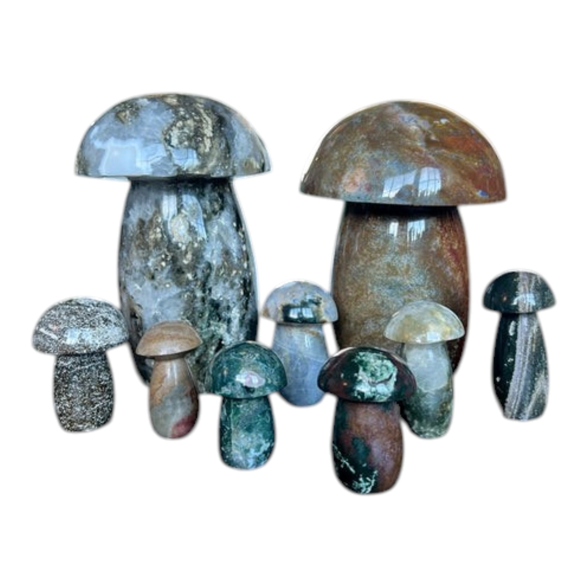 Ocean Jasper Mushrooms