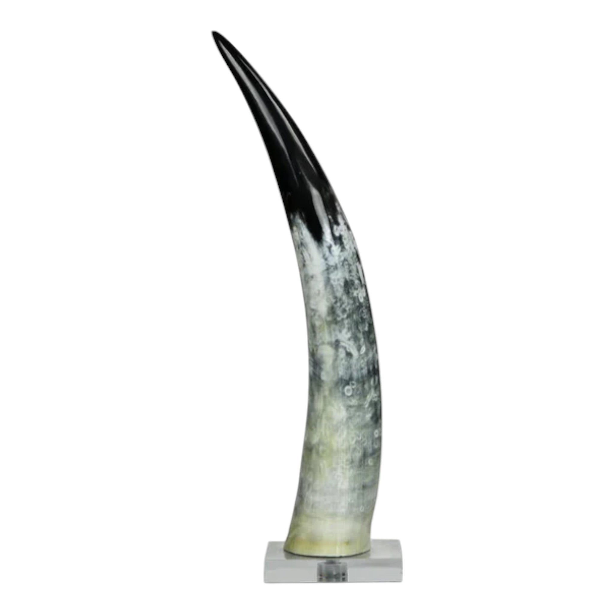 Black & White Cow Horn on Base Approx. 25" Tall