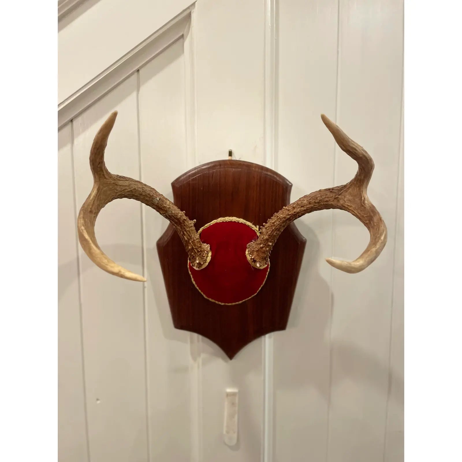 Vintage Trophy Mount